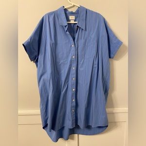 Aritzia shirt dress